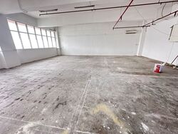 Goldpine Industrial Building (D13), Factory #635076581